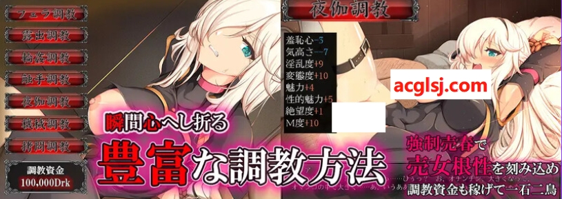 [探索RPG/凌辱] 雌猪性奴隶剑士塞西莉娅 ～坚毅的女剑士的淫荡调教～ 雌豚性奴○剣士セシリア ～凛々しき女剣士は淫らな調教に堕ちる～ AI汉化版+全CG存档 [1.30G]