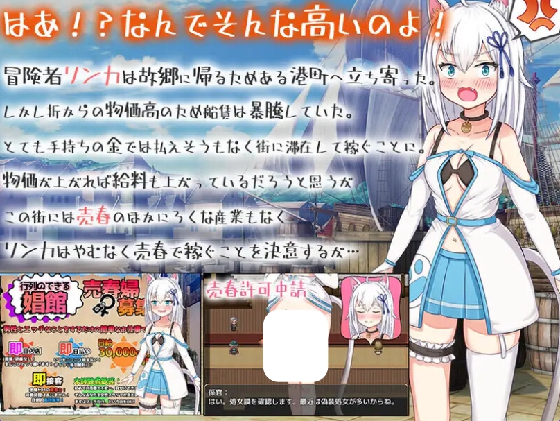 [PC/日式SLG/汉化] 赚钱吧!猫耳娘～异世界SLG～ 稼げ猫耳娘 ～異世界SLG～ AI汉化版+全CG存档 [2.40G]