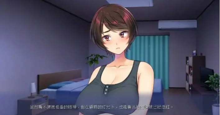 【PC/官中/日系/2D/ADV/3.35G】一墙之隔妻子的声音~官方中文版+日系2DADV+3.35G
